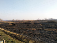 На Бородянщині підлітки задля розваги влаштували масштабну пожежу (ФОТО)