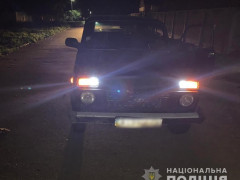 На Васильківщині водій легковика збив 6-річну дівчинку (ФОТО)