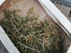 У Фастівському районі в чоловіка знайшли наркотики 