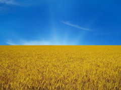 У Білій Церкві до Дня Незалежності проведуть ряд заходів (АФІША)
