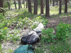 Під Гостомелем у ліс невідомі викидають сміття