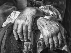 У Білій Церкві знайшли бабусю, яка вважалася зниклою безвісти (ФОТО)