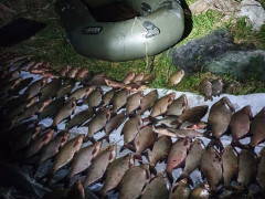 Правоохоронці Київщини продовжують боротися з рибними браконьєрами