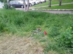 У Борисполі робітника смертельно вдарило струмом під час косіння трави