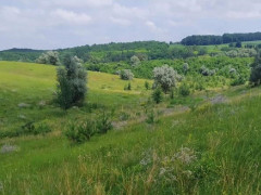 У Київській області збільшилася кількість природоохоронних територій