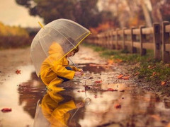 Прогноз погоди для жителів Київщини на 17-те жовтня