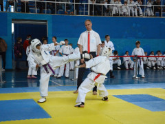 У Кагарлику пройшов чемпіонат області по Зендокай Карате До (ФОТО)