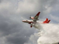 У Чорнобильській зоні ліквідували одне з великих вогнищ пожежі