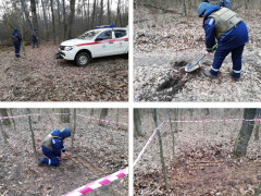 Піротехніки Білоцерківщині знищили цілий арсенал зброї часів Другої світової
