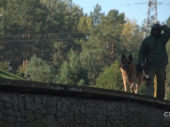 Державний ліс неподалік від маєтків Злочевського залишається непідступним (ФОТО) 