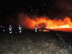 Вихідні у Київській області пройшли "з вогником" (ФОТО)