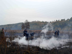 В Обухівському районі знов палають торф'яники (ВІДЕО)