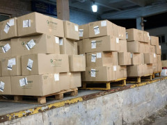    Заборонений експорт: у "Борисполі" арештували 1,5 тонни медичних масок