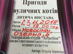 У Новосілках відбудеться благодійна вистава