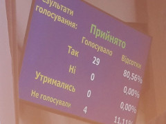 В Ірпені схвалили генеральний план міста 