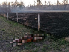 У Васильківському районі підпал сухої трави став причиною смерті пенсіонера