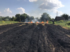 У Сквирі загоряння стерні пшениці стало причиною смерті чоловіка 
