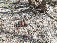 На Київщині піротехніки знищили 27 вибухонебезпечних предметів (ФОТО)