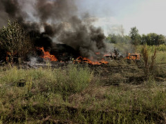 Клуби чорного диму: поблизу Бучі згоріло велике сміттєзвалище (ФОТО)