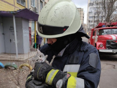 Лосі чи люди: кого все ж таки мають рятувати пожежники Київщини