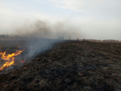 В Обухівському районі пожежники оперативно ліквідували пожежу (ФОТО)