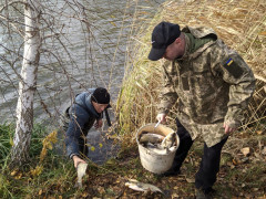 У гостомельське озеро запустили 400 кг товстолоба (ВІДЕО)