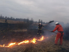 У зоні відчудження сталася пожежа 