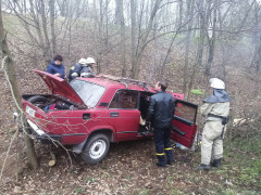 У Таращанському районі автомобіль вилетів з дороги і врізався в дерево (ФОТО)