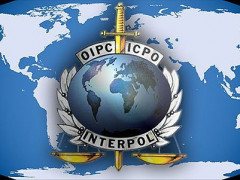 Інтерпол шукатиме горе-забудовників Ірпеня