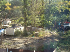 У Бучі біля "Кампи" зачищали залишок від вікових дубів (ФОТО)