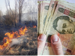 Верховна Рада встановила шалені штрафи за спалювання рослинності
