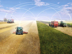 Основою економічного розвитку Київщини стануть технопарки та agrotech - Чернишов