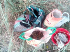 У зоні відчуження спіймали "на гарячому" чорничного сталкера (ФОТО)