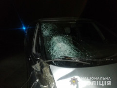  Наїзд на пішохода: у Кагарлицькому районі відбулася смертельна ДТП 