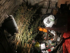 У Васильківському районі через бійку затримали наркоторговців