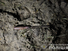 На Вишгородщині киянин вбив чоловіка з напилком