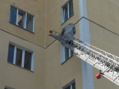 У Славутичі рятували будинок від ос