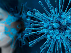 На Київщині продовжує зростати кількість випадків захворювання на коронавірус