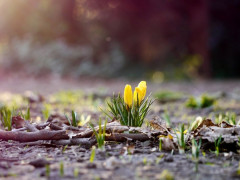 Прогноз погоди для жителів Київщини на 8-ме березня