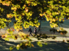Прогноз погоди для мешканців Київщини на 12-те вересня