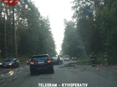 У Києво-Святошинському районі дерево впало одразу на дві автівки: є постраждалі (ФОТО)