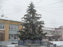 Білу Церкву прикрасили до свят майже за 275 тис. грн