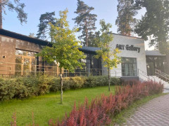 У Бучі відкриє свої двері артгалерея