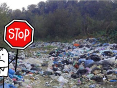 На Макарівщині підприємство заплатить 730 тисяч гривень за понівечення природи
