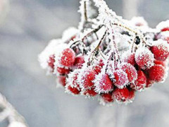 Прогноз погоди для жителів Київщини на 3-тє грудня