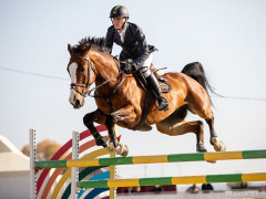 Flying Horses Cup: у Києво-Святошинському районі відбудуться змагання без глядачів