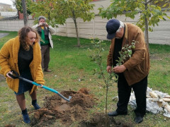 В Ірпені планують створити тематичну галявину