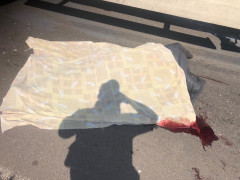Страшна ДТП у Димері: загинули дитина та пенсіонер (ФОТО)