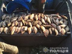 Риба на мільйон: на Київщині затримали рибалок-браконьєрів (ФОТО)