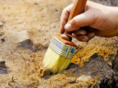 Будівництво окружної дороги допомогло знайти стоянки давніх людей на Бучанщині
